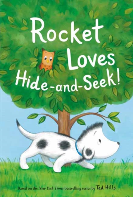 Rocket Loves Hide-and-Seek!, Hardback Book