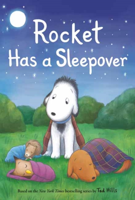 Rocket Has a Sleepover, Hardback Book