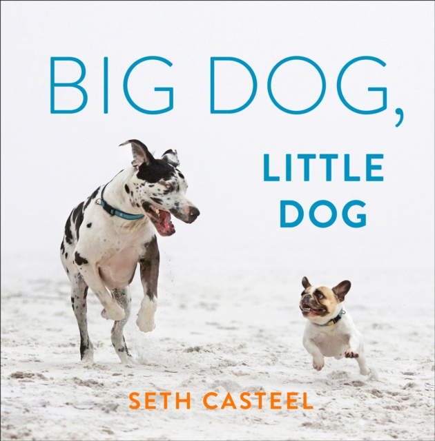 Big Dog, Little Dog, EPUB eBook