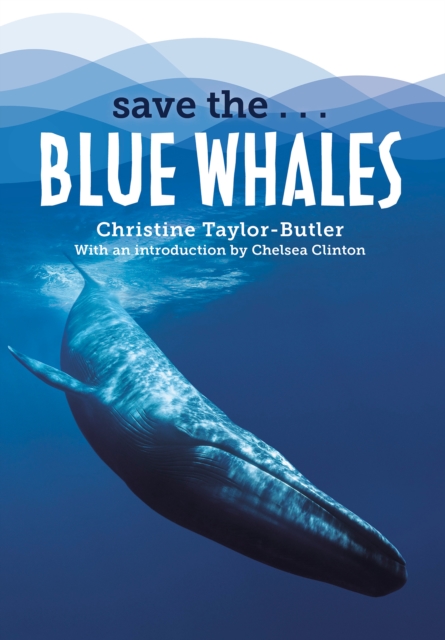 Save the...Blue Whales, Paperback / softback Book