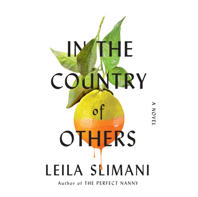 In the Country of Others, eAudiobook MP3 eaudioBook