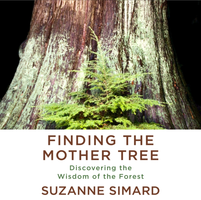 Finding the Mother Tree, eAudiobook MP3 eaudioBook