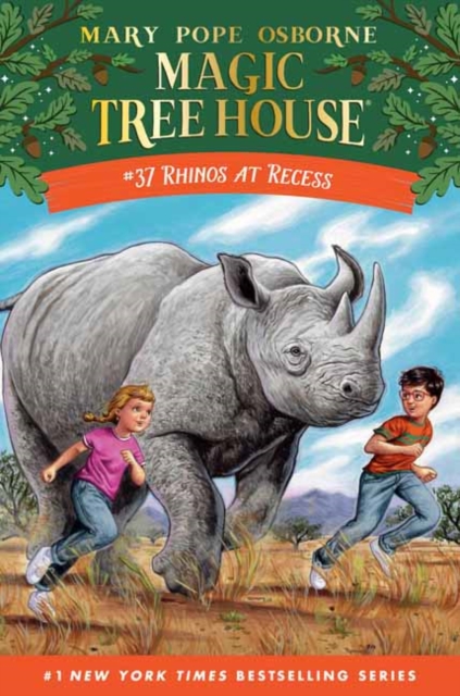 Rhinos at Recess, Hardback Book
