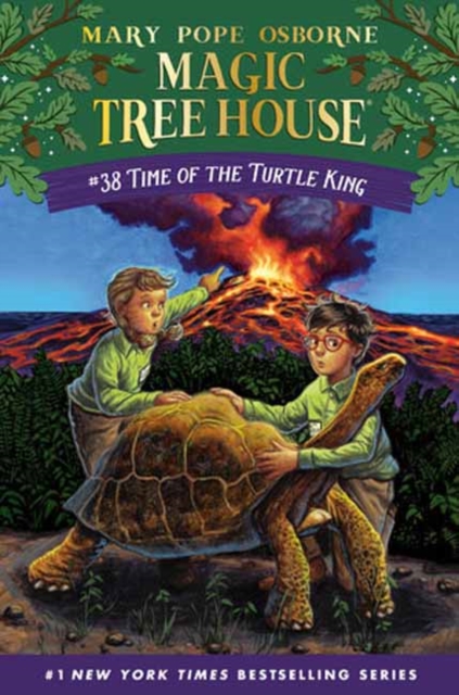 Time of the Turtle King, Hardback Book