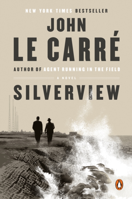 Silverview, EPUB eBook