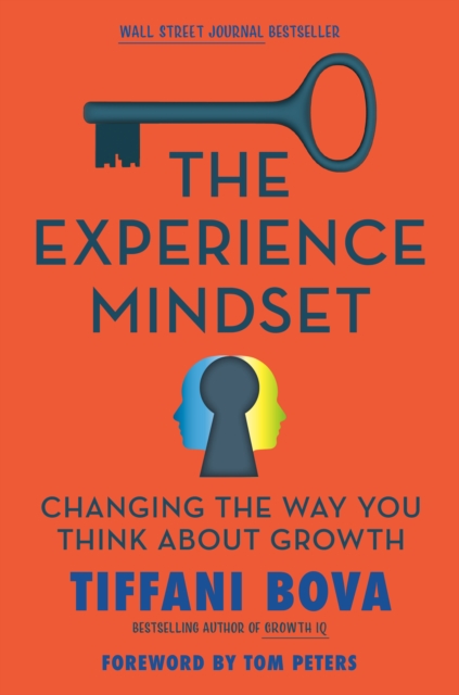 The Experience Mindset : Changing the Way You Think About Growth, Hardback Book