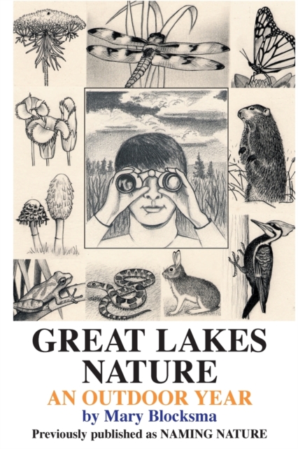 Great Lakes Nature : An Outdoor Year, Paperback / softback Book