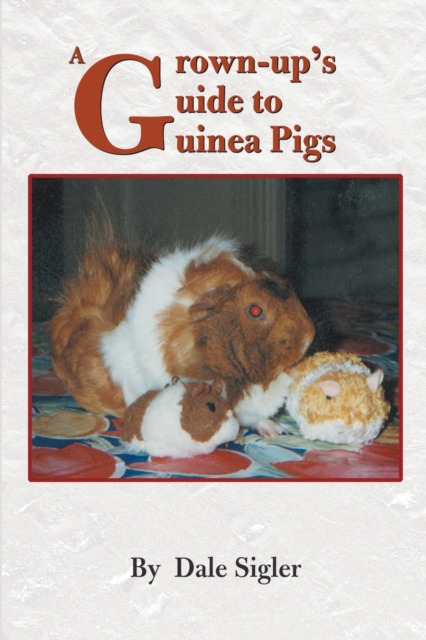 A Grown-Up's Guide to Guinea Pigs, Paperback / softback Book