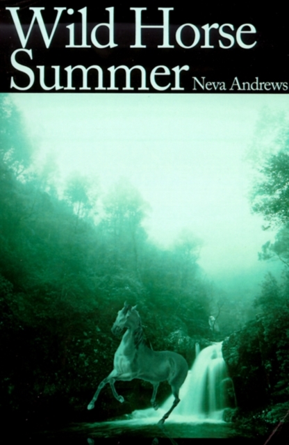 Wild Horse Summer, Paperback / softback Book