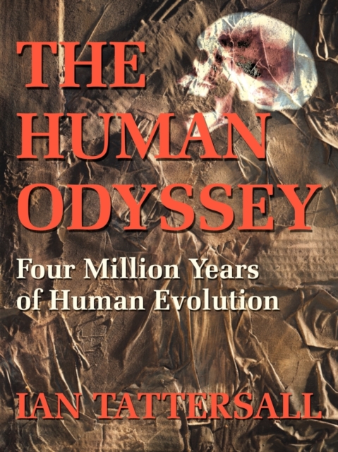 The Human Odyssey : Four Million Years of Human Evolution, Paperback / softback Book