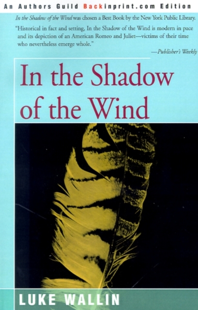 In the Shadow of the Wind, Paperback / softback Book