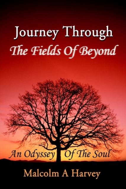 Journey Through The Fields Of Beyond : An Odyssey Of The Soul, Paperback / softback Book