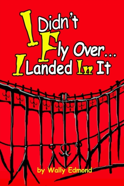 I Didn't Fly Over... I Landed In It, Paperback / softback Book