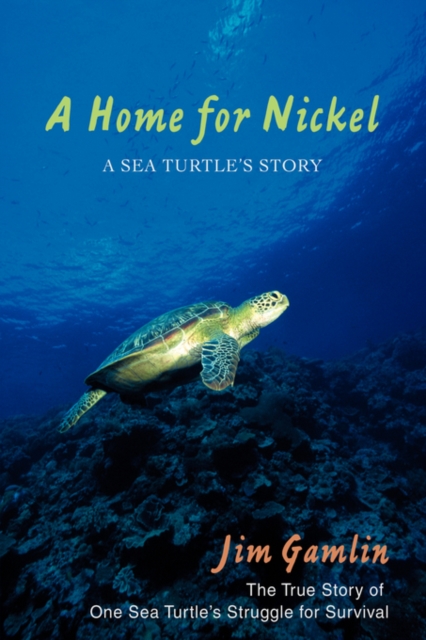 A Home for Nickel : A Sea Turtle's Story, Paperback / softback Book