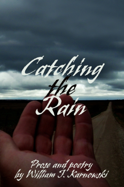 Catching the Rain, Paperback / softback Book