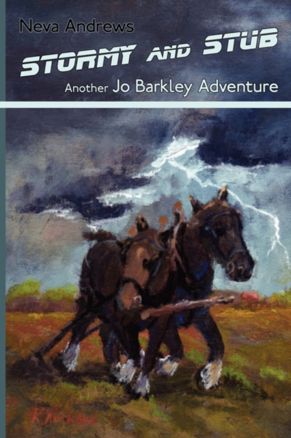 Stormy and Stub : Another Jo Barkley Adventure, Paperback / softback Book