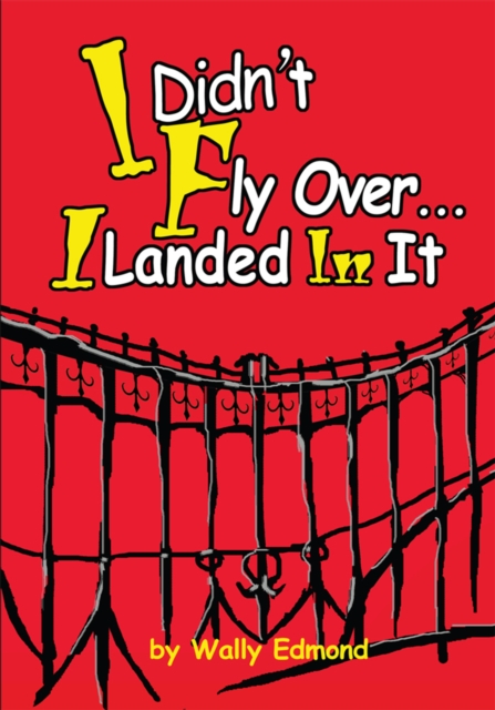 I Didn't Fly Over... I Landed in It, EPUB eBook