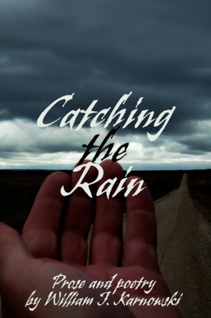 Catching the Rain, Hardback Book