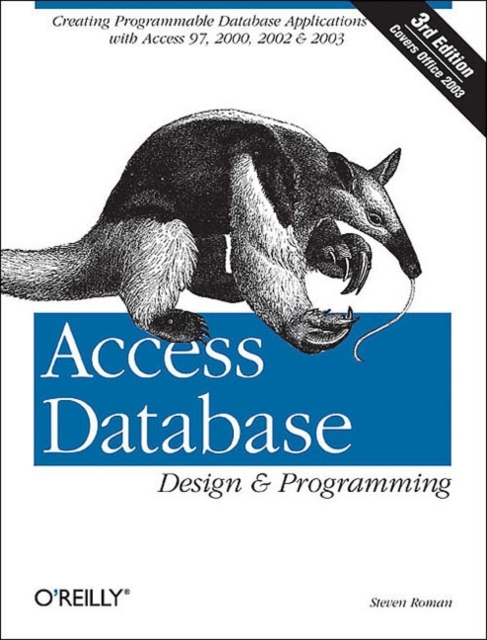Access Database Design & Programming, Paperback / softback Book