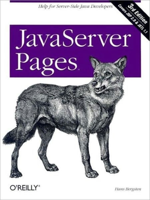JavaServer Pages 3e, Paperback / softback Book