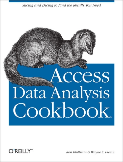 Access Data Analysis Cookbook, Paperback / softback Book