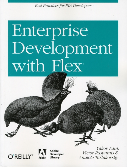Enterprise Development with Flex : Best Practices for Ria Developers, Paperback / softback Book