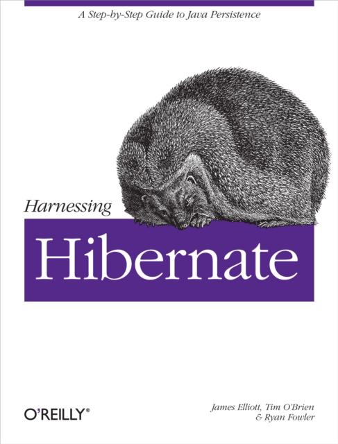 Harnessing Hibernate : Step-by-step Guide to Java Persistence, PDF eBook