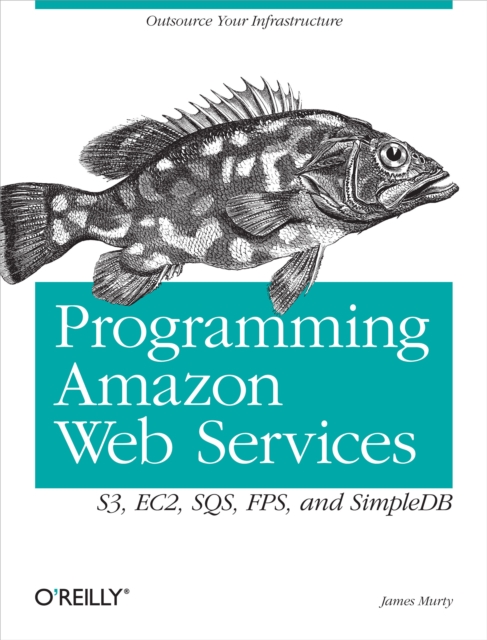 Programming Amazon Web Services : S3, EC2, SQS, FPS, and SimpleDB, EPUB eBook