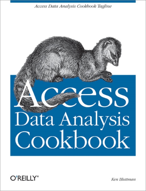 Access Data Analysis Cookbook : Slicing and Dicing to Find the Results You Need, EPUB eBook