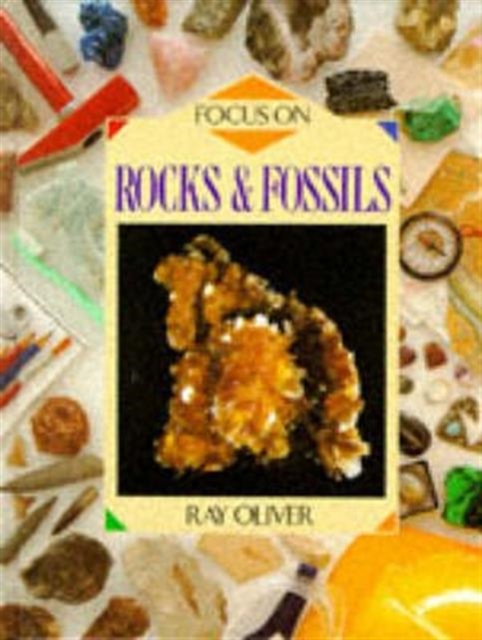 Focus on: Rocks and Fossils, Hardback Book