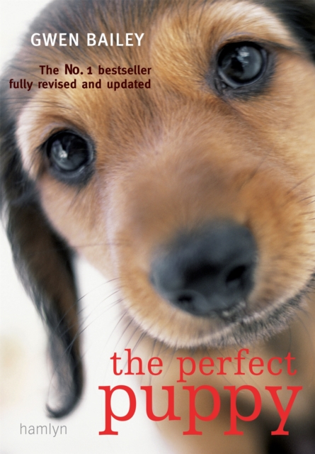 Perfect Puppy : Take Britain's Number One Puppy Care Book With You!, Paperback / softback Book