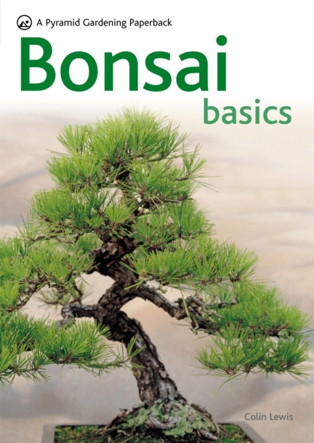 Bonsai Basics, Paperback / softback Book