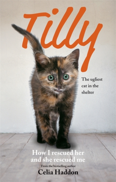 Tilly: The Ugliest Cat : How I rescued her and she rescued me, Paperback / softback Book