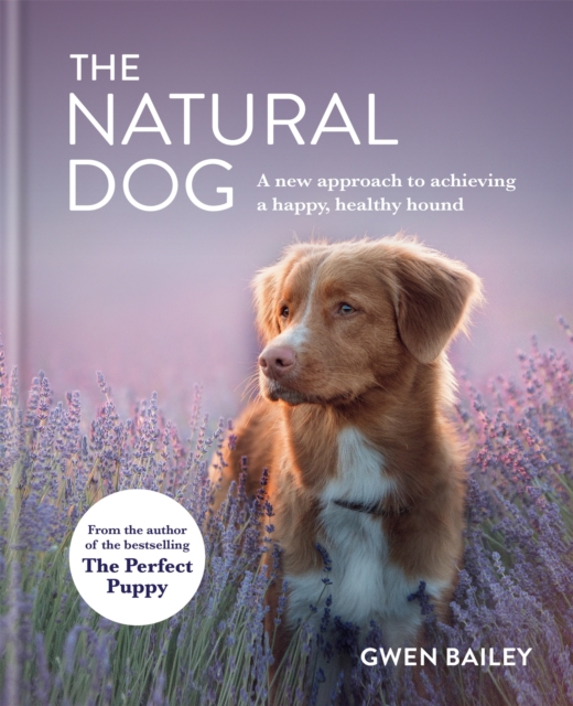 The Natural Dog : A New Approach to Achieving a Happy, Healthy Hound, Hardback Book