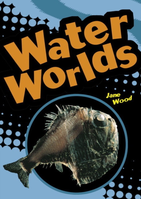 POCKET FACTS YEAR 4 WATER WORLDS, Paperback / softback Book