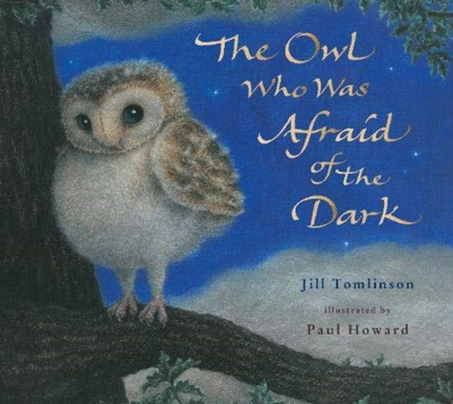 DEAN The Owl Who Was Afraid of the Dark, Paperback / softback Book