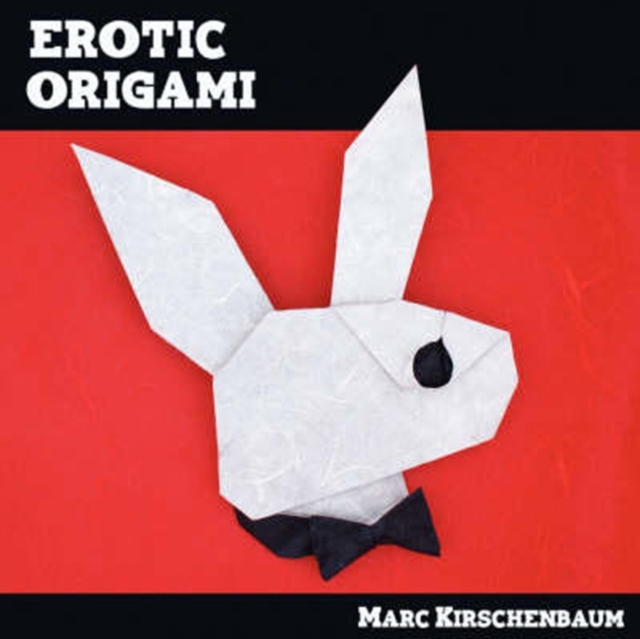 Erotic Origami, Paperback / softback Book