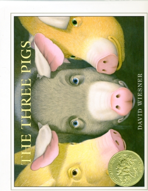 The Three Pigs, Hardback Book