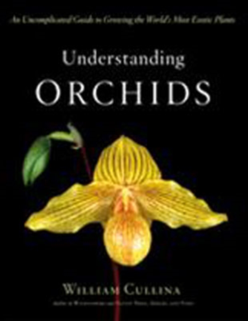 Understanding Orchids : An Uncomplicated Guide to Growing the World's Most Exotic Plants, Hardback Book