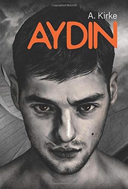 Aydin, Hardback Book