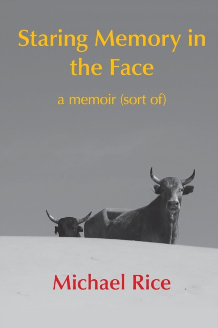 Staring Memory in the Face : a memoir (of sort), Paperback / softback Book