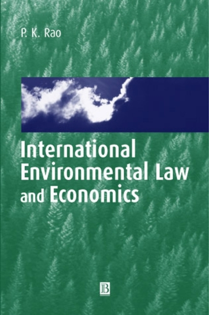 International Environmental Law and Economics, Paperback / softback Book