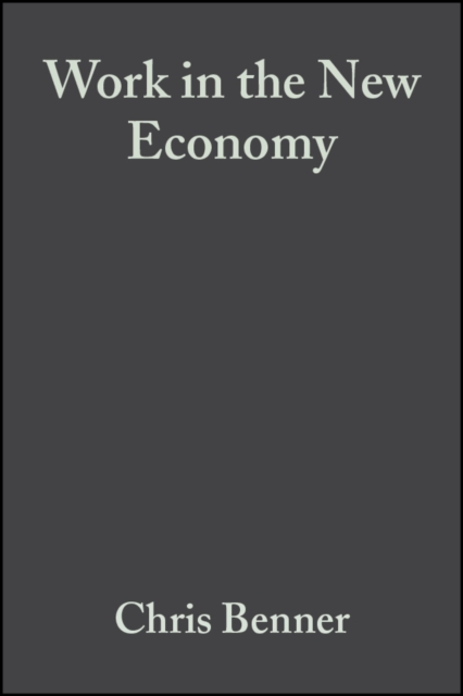 Work in the New Economy : Flexible Labor Markets in Silicon Valley, Paperback / softback Book