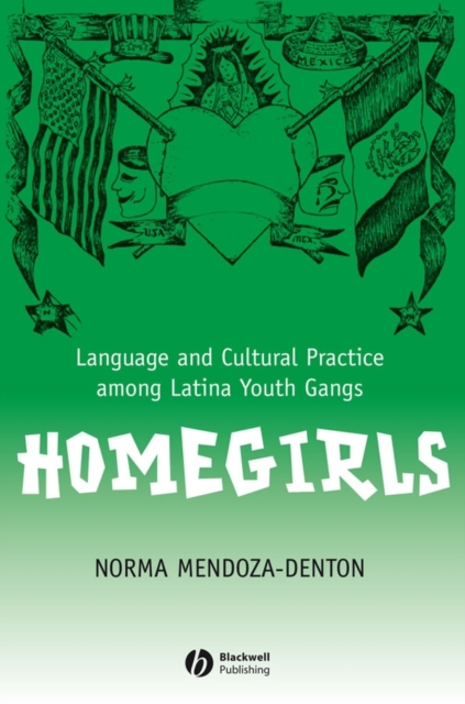 Homegirls : Language and Cultural Practice Among Latina Youth Gangs, Hardback Book