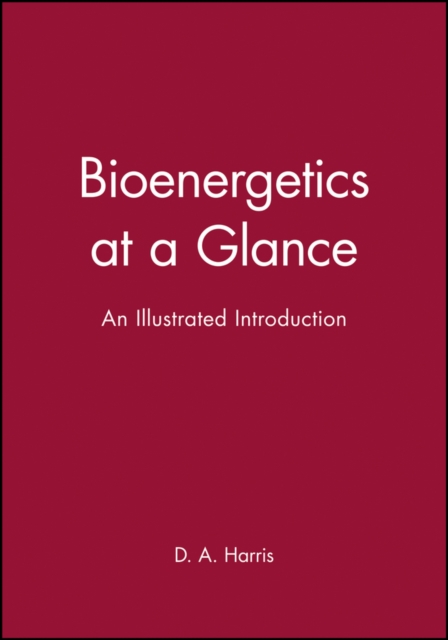 Bioenergetics at a Glance : An Illustrated Introduction, Paperback / softback Book