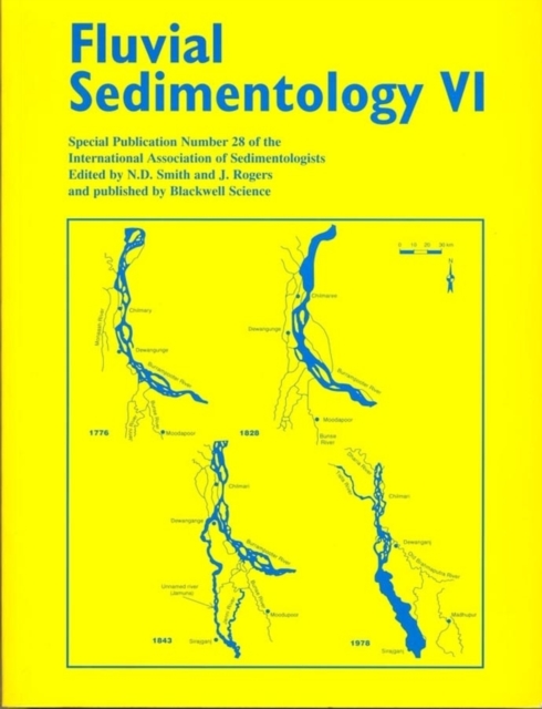 Fluvial Sedimentology VI, Paperback / softback Book