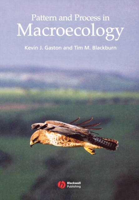 Pattern and Process in Macroecology, Paperback / softback Book