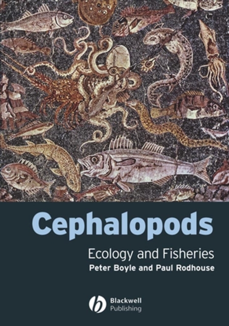 Cephalopods : Ecology and Fisheries, Hardback Book