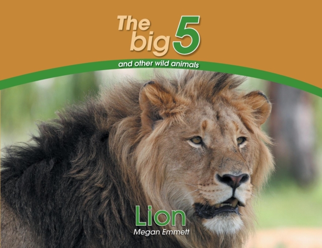 Lion : The Big 5 and Other Wild Animals, Paperback / softback Book