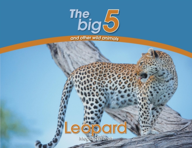 Leopard : The Big 5 and Other Wild Animals, Paperback / softback Book